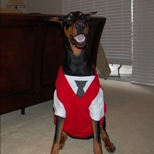 Meet your Posher, Josh